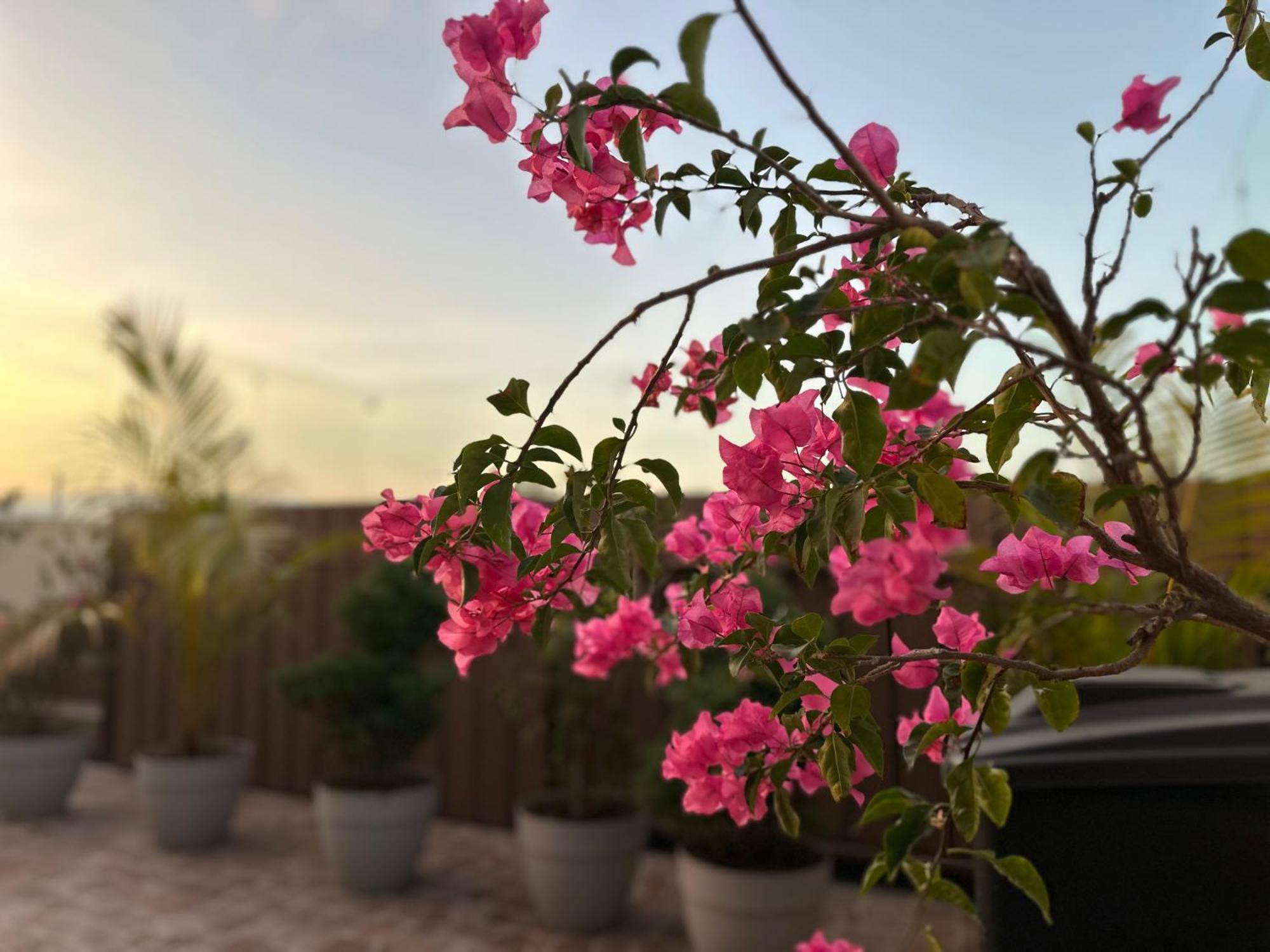 Sky Garden Hotel Guatemala City Ngoại thất bức ảnh