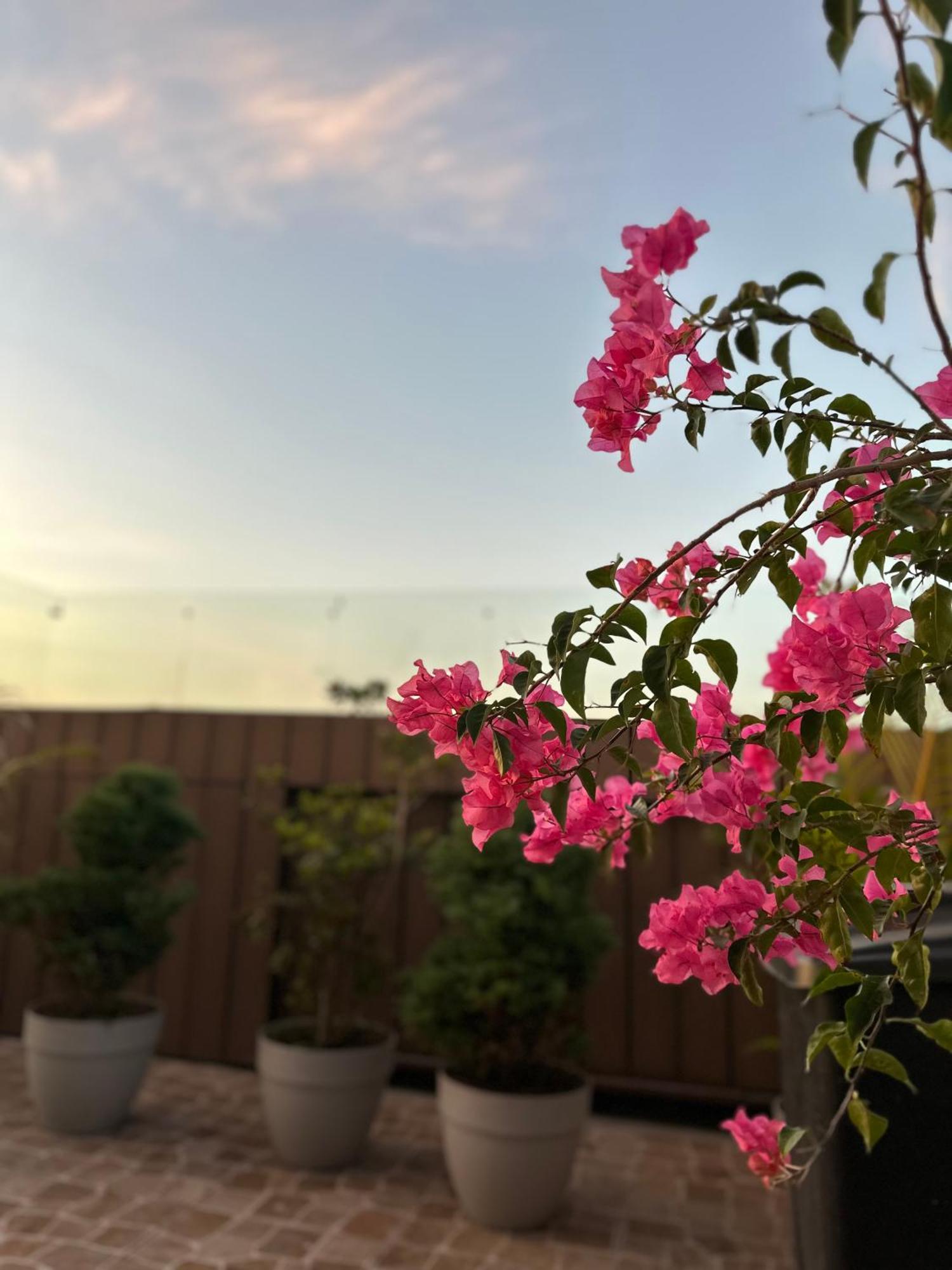 Sky Garden Hotel Guatemala City Ngoại thất bức ảnh